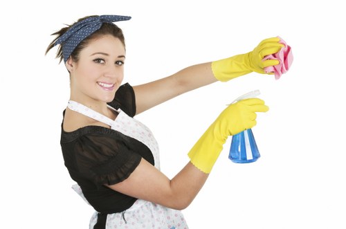 Hot water extraction process for steam carpet cleaning in Ratcliff