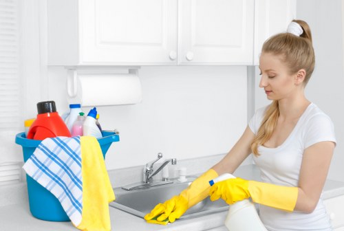 Internal review of carpet cleaning complaint details