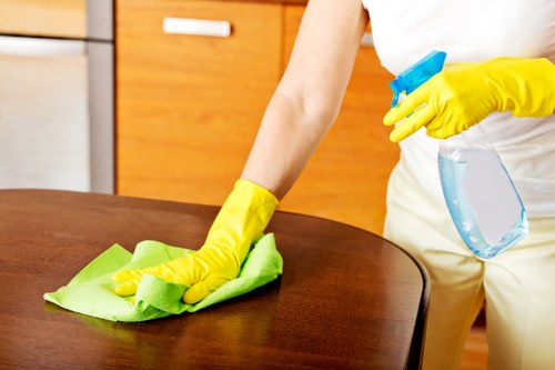 Surface-specific stain removal services in Ratcliff